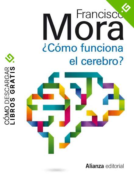 C&oacute;mo funciona el cerebro (13/20)