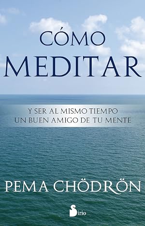 COMO MEDITAR: Y Ser al Mismo Tiempo un Buen Amigo de Tu Mente