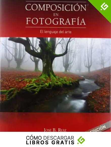 Composici&oacute;n En Fotograf&iacute;a