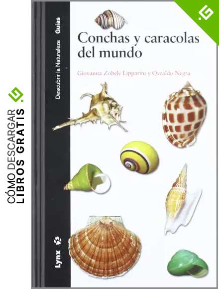 Conchas y Caracolas del Mundo (Descubrir la Naturaleza)