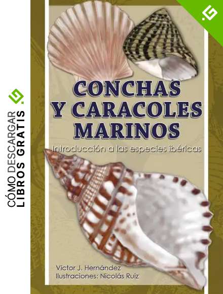 conchas y Caracoles Marinos