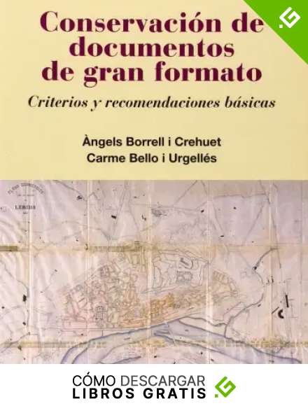 Conservaci&oacute;n de documentos de gran formato: Criterios y recomendaciones b&aacute;sicas (Varia)