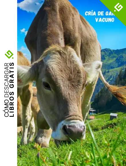 CR&Iacute;A DE GANADO VACUNO: CUADERNO DE REGISTRO | Lleva un control de todos los detalles: Identificaci&oacute;n del Ternero, madre y padre, Fecha Nacimiento, Sexo, Parto... | Regalo especial para Ganaderos.
