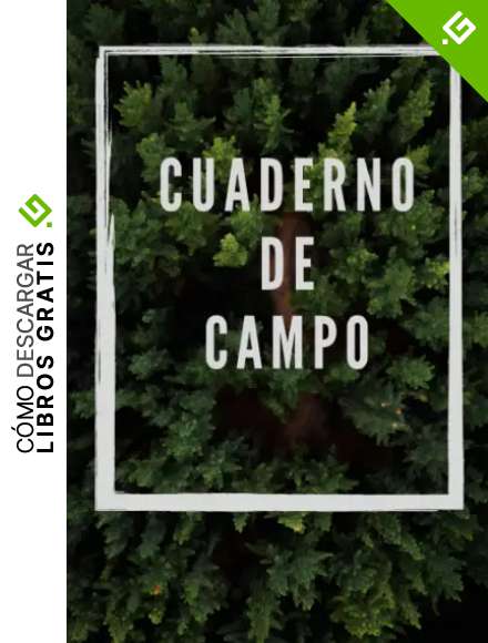 Cuaderno de campo 100 hojas cuadriculadas: DMFM Design
