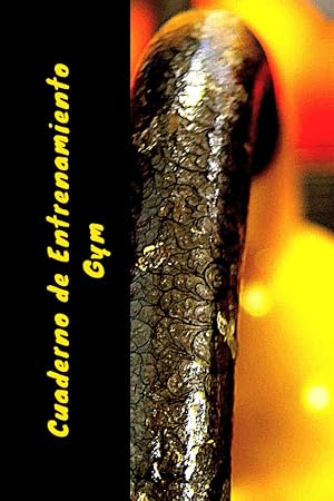 Cuaderno de Entrenamiento Gym: Lleva el Registro de Todos tus Entrenamientos - 100 P&aacute;ginas con las Secciones Dise&ntilde;adas para Apuntar cada Detalle.