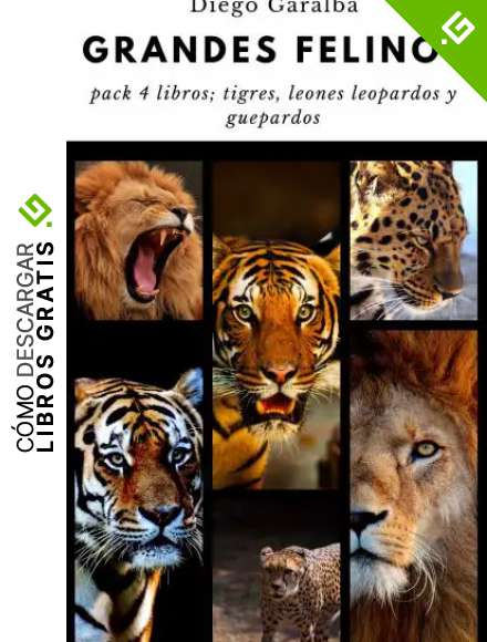&iquest;Cu&aacute;nto sabes de los grandes felinos?: Pack de 4 libros de la colecci&oacute;n: tigres, leones, leopardos y guepardos (&iquest;Cu&aacute;nto sabes de...? n&ordm; 20)