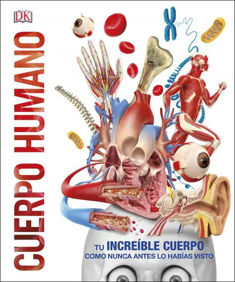 Cuerpo humano: Como nunca antes lo hab&iacute;as visto (Conocimiento)