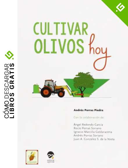 CULTIVAR OLIVOS HOY