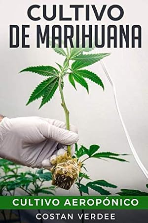 Cultivo De Marihuana: Cultivo Aerop&oacute;nico