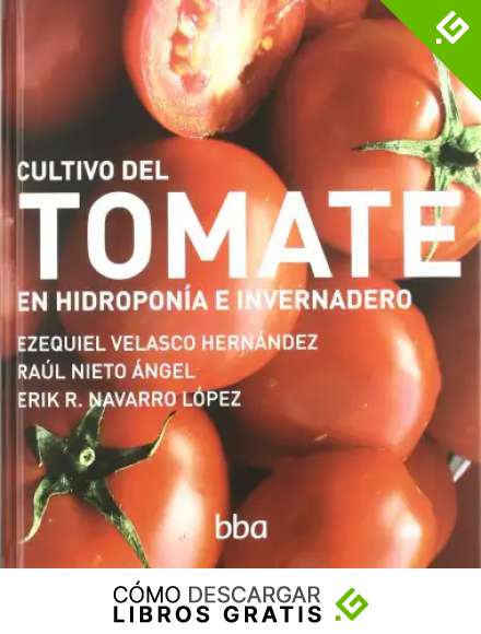 Cultivo Del Tomate