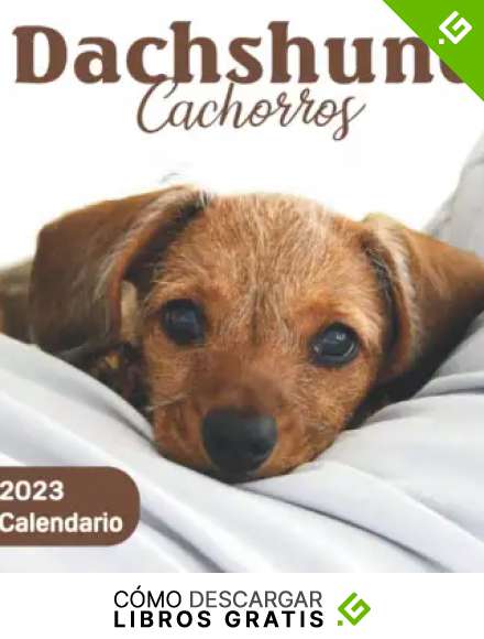 Dachshund Cachorros Calendario: Calendario 2023 - 8.5''x8.5'' - Regalos para familiares y amigas amigos
