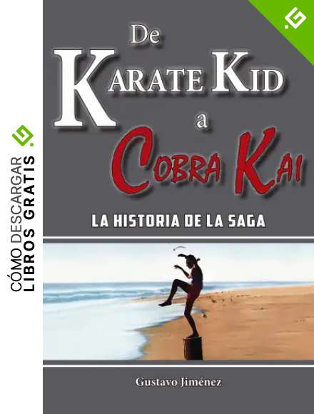 De Karate Kid A Cobra Kai: La historia de la saga