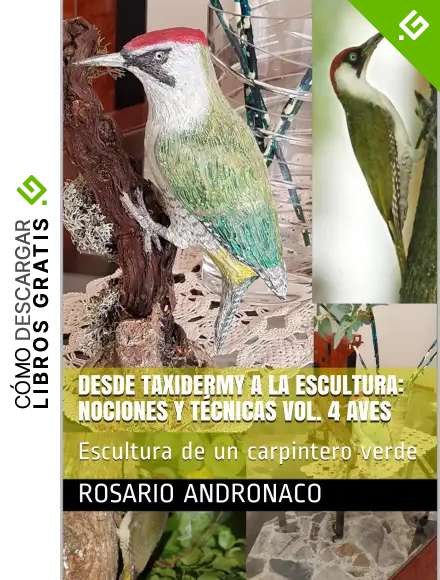 DESDE TAXIDERMY A LA ESCULTURA: NOCIONES Y T&Eacute;CNICAS VOL. 4 AVES: Escultura de un carpintero verde (Dalla Tassidermia alla Scultura n&ordm; 1)