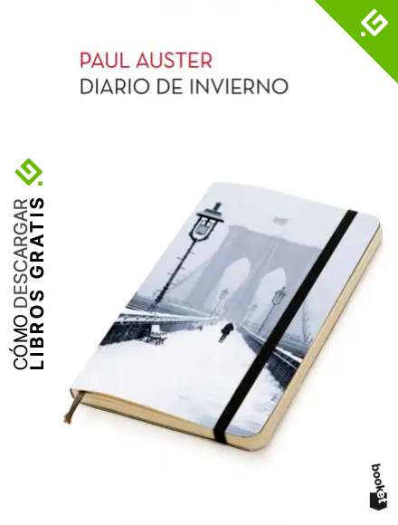 Diario de invierno (Biblioteca Paul Auster)