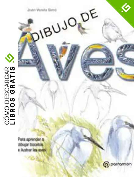Dibujo de aves (Aula de dibujo profesional)