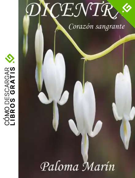 Dicentra: Coraz&oacute;n sangrante