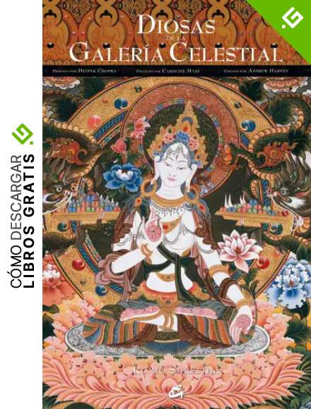 Diosas De La Galer&iacute;a Celestial (Sabidur&iacute;a y tradici&oacute;n)