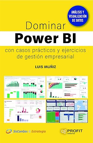 Dominar Power BI: Con casos pr&aacute;cticos y ejercicios de gesti&oacute;n empresarial