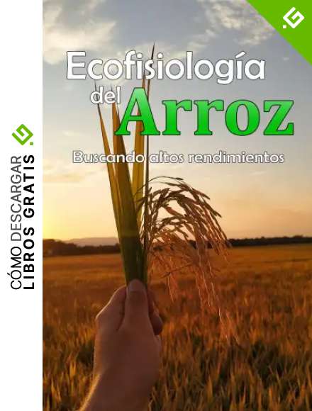 Ecofisiolog&iacute;a del Arroz Buscando Altos Rendimientos