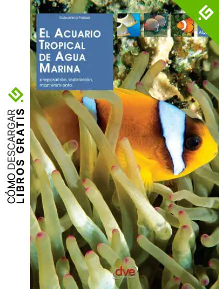 El acuario tropical de agua marina