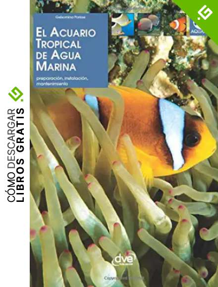 El Acuario Tropical De Aguamarina