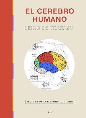 El cerebro humano: Libro de trabajo (Ariel)