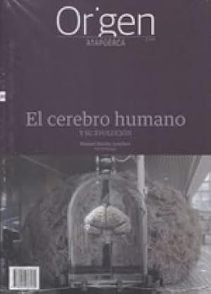 El cerebro humano: y su evoluci&oacute;n: 20 (Cuadernos de Atapuerca. Origen)
