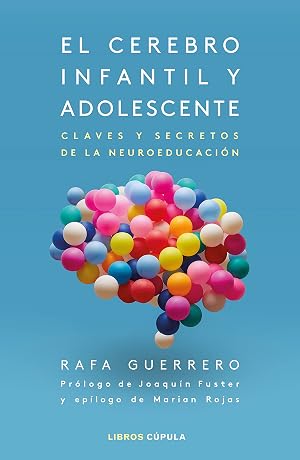 El cerebro infantil y adolescente: Claves y secretos de la neuroeducaci&oacute;n (Pr&aacute;cticos)
