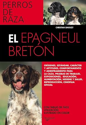 El espagneul bret&oacute;n (Animales)