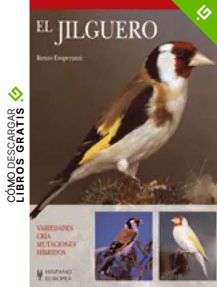 El jilguero (Mascotas / Pets)