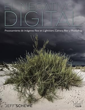 El negativo digital: Procesamiento de im&aacute;genes Raw en Lightroom, Camera Raw y Photoshop