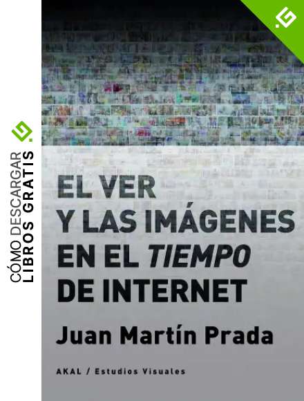 El ver y las im&aacute;genes en el tiempo de Internet: 13 (Estudios visuales)