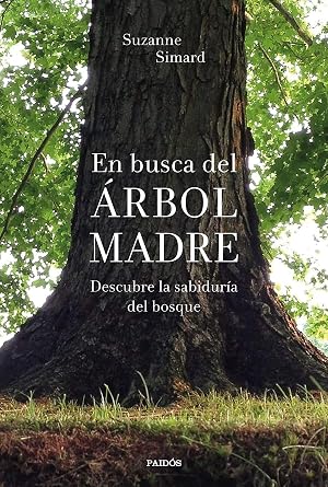 En busca del &Aacute;rbol Madre: Descubre la sabidur&iacute;a del bosque (Contextos)