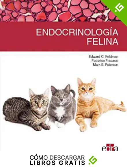 Endocrinolog&iacute;a felina