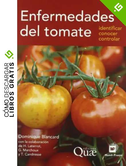 Enfermedades del tomate (Patolog&iacute;a Vegetal)