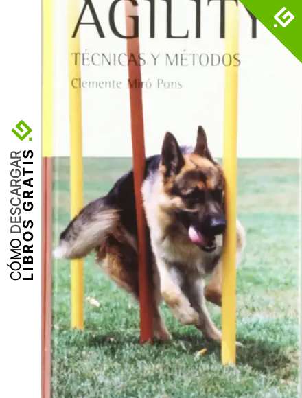 Entrenamiento del Agility