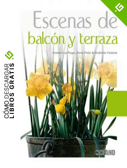 Escenas de balc&oacute;n y terraza: Jardineras con encanto (Manuales ilustrados)