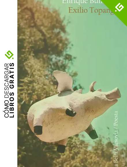 Exilio Topanga (2&ordf;ED) (POESIA)