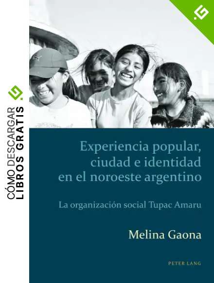 Experiencia popular, ciudad e identidad en el noroeste argentino: La organizaci&oacute;n social Tupac Amaru (Estudios culturales cr&iacute;ticos con perspectiva latinoamericana n&ordm; 1)