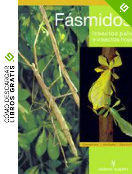 F&aacute;smidos. Insectos palo e insectos hoja