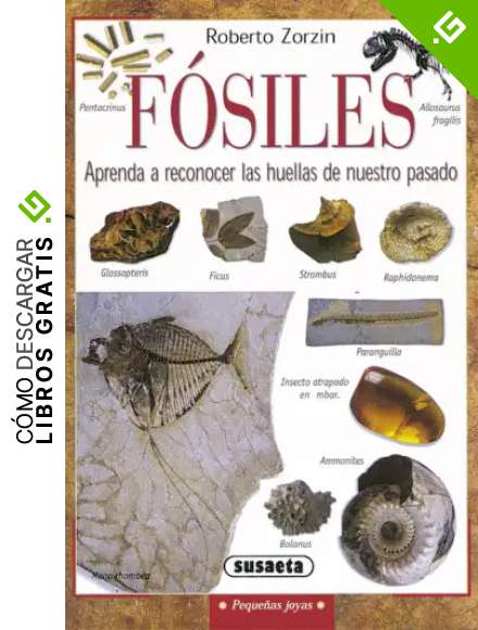 Fosiles (Peque&ntilde;as Joyas)