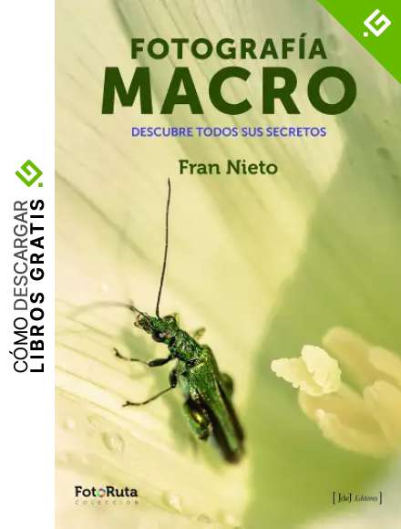 Fotografia Macro: Descubre todos sus secretos: 4 (FotoRuta)
