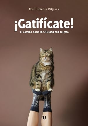 &iexcl;Gatif&iacute;cate!: El camino hacia la felicidad con tu gato