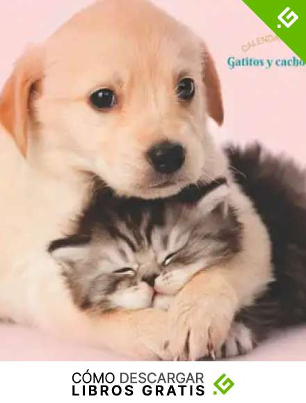Gatitos y cachorros Calendario 2022: Calendario 2022 8.5''x8.5'' - Regalos para familiares y amigas amigos - Animales divertidos