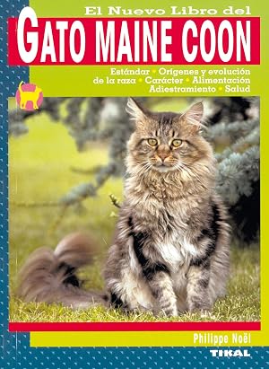 Gato Maine Coon, El
