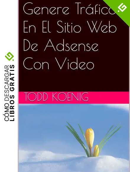 Genere Tr&aacute;fico En El Sitio Web De Adsense Con Video