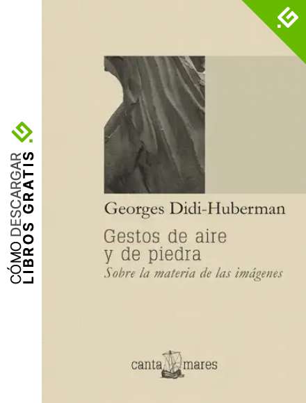 Gestos de aire y de piedra: Sobre la materia de las im&aacute;genes