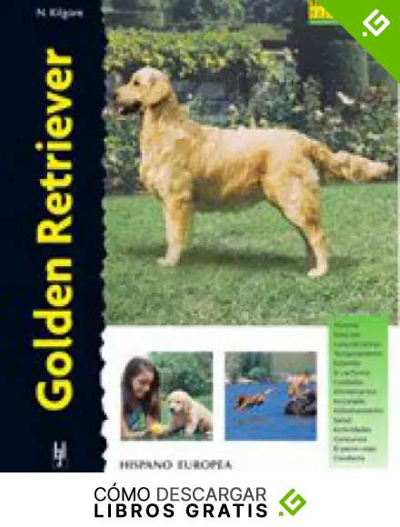 Golden Retriever (Excellence)