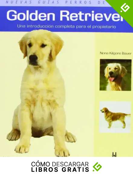 Golden Retriever (Nuevas gu&iacute;as perros de raza)