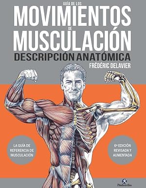 Gu&iacute;a de los movimientos de musculaci&oacute;n. Descripci&oacute;n anat&oacute;mica (Deportes)